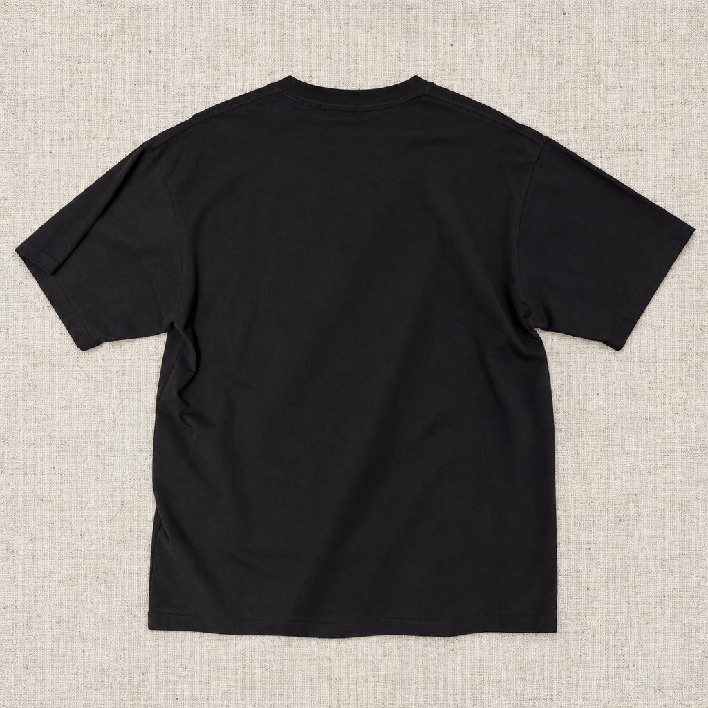 Carhartt WIP S/S Seduction of the Innocent T-Shirt – Black / White